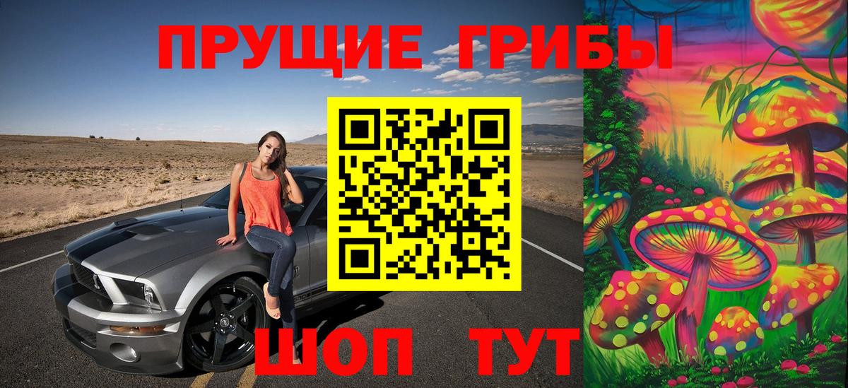 Галлюциногенные грибы Psilocybe  Вход с VPN  Урюпинск 